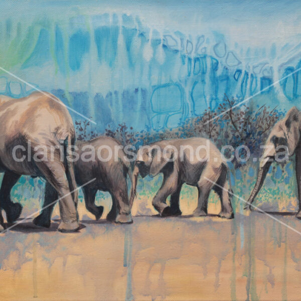 Elephants
