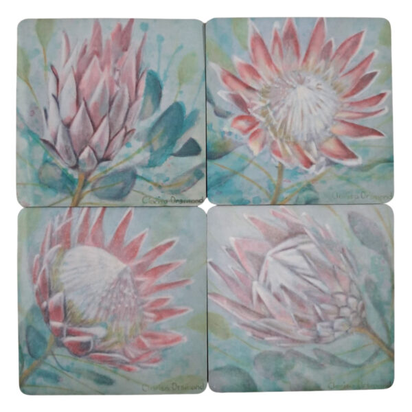 Coasters Proteas